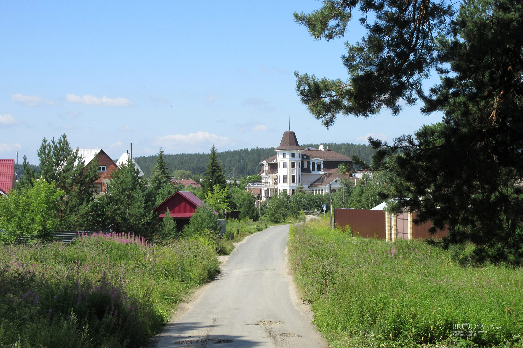 Kashino (Кашино)